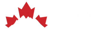 CALC_engineering white